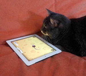 Byte e games for cats